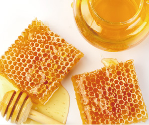 organic manuka honey