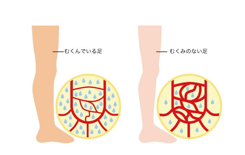 足のリンパの絵