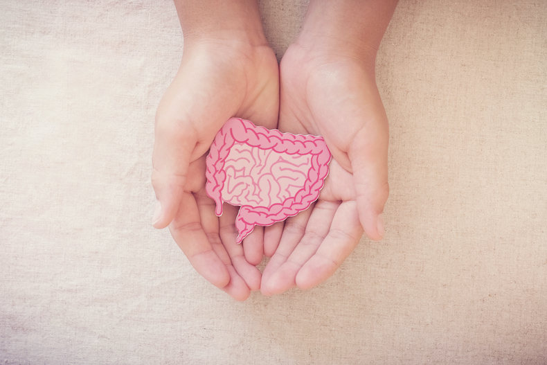 Hands holding intestine