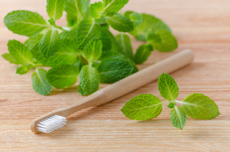 Tooth brush and peppermint