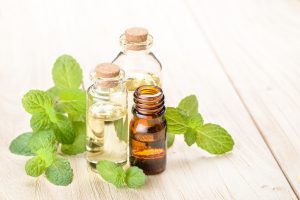 Fresh mint and essential oil