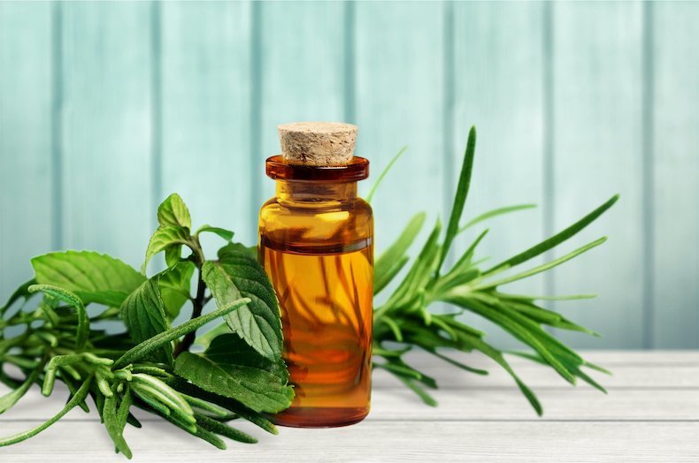 Fresh tea tree aroma oil