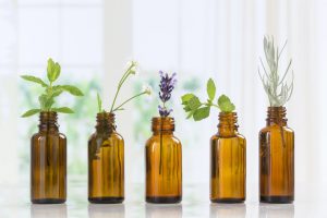Essential oils and plants