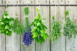 Herbs and plants