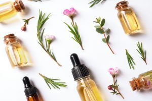 Plants and essential oil