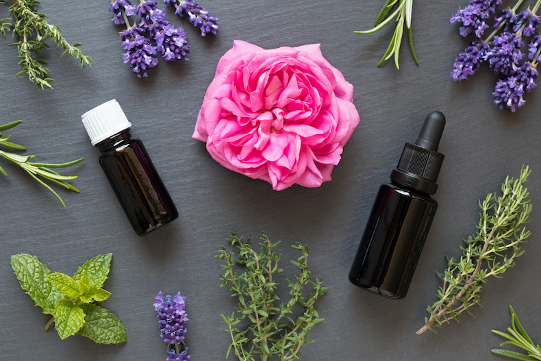 Essential oils and the plants