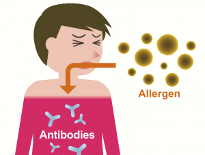 Allergen and boy