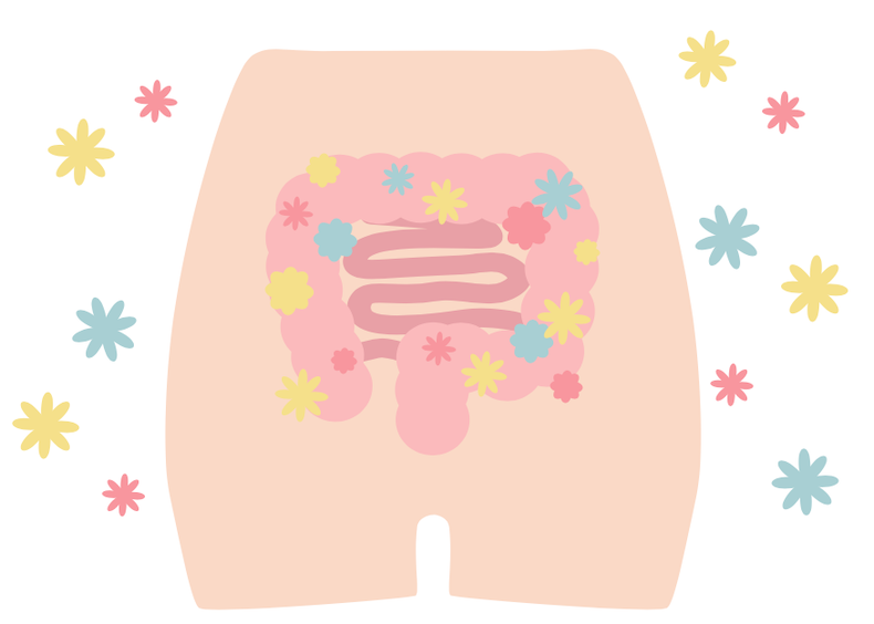 Intestinal flora