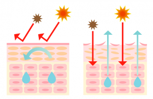 Skin mechanism