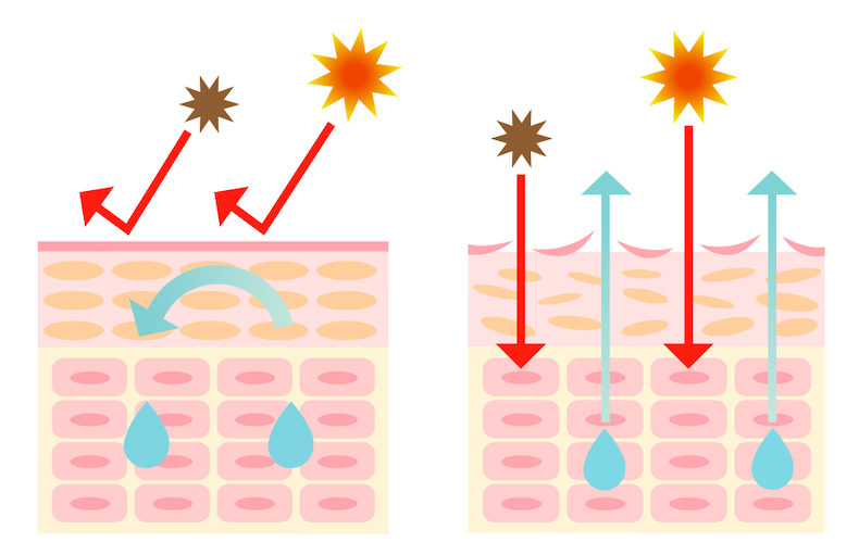 Skin mechanism