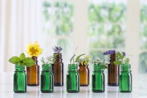 Plants and essential oil