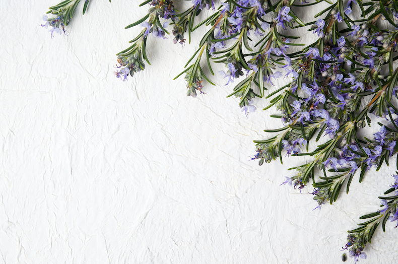 Rosemary and flowers